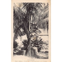 Rare collectable postcards of SINGAPORE Belgique België. Vintage Postcards of SINGAPORE Belgique België