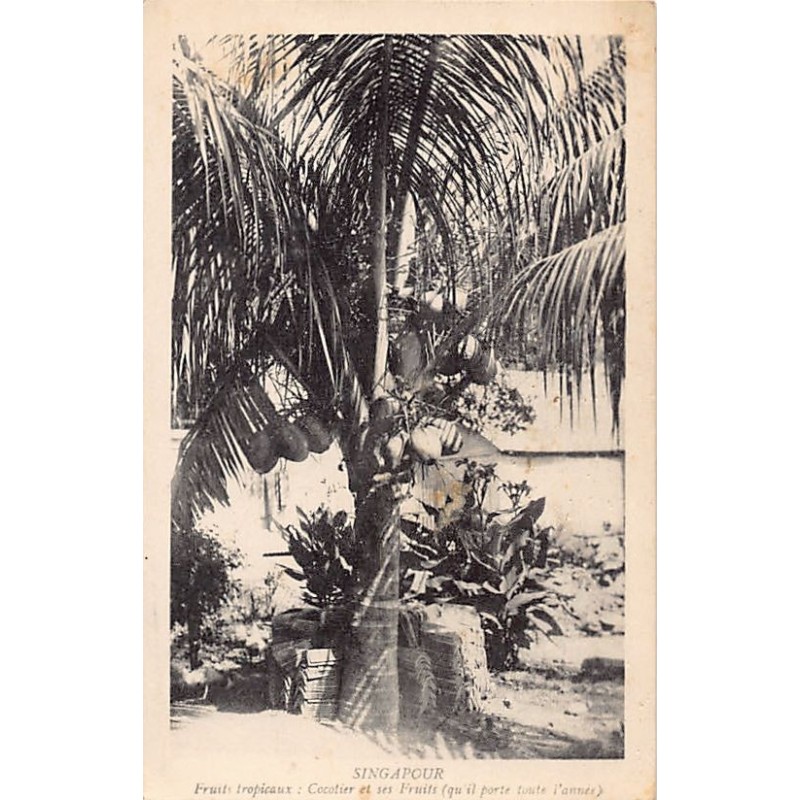 Rare collectable postcards of SINGAPORE Belgique België. Vintage Postcards of SINGAPORE Belgique België