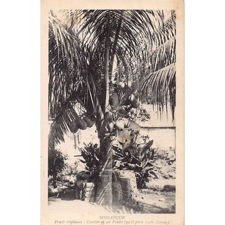 Rare collectable postcards of SINGAPORE Belgique België. Vintage Postcards of SINGAPORE Belgique België