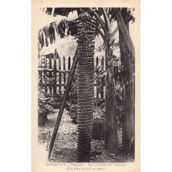 Rare collectable postcards of SINGAPORE Belgique België. Vintage Postcards of SINGAPORE Belgique België