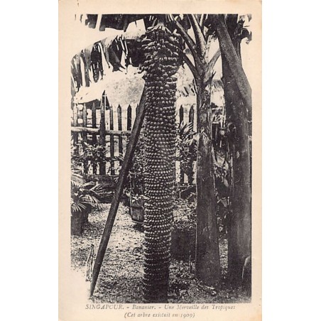 Rare collectable postcards of SINGAPORE Belgique België. Vintage Postcards of SINGAPORE Belgique België