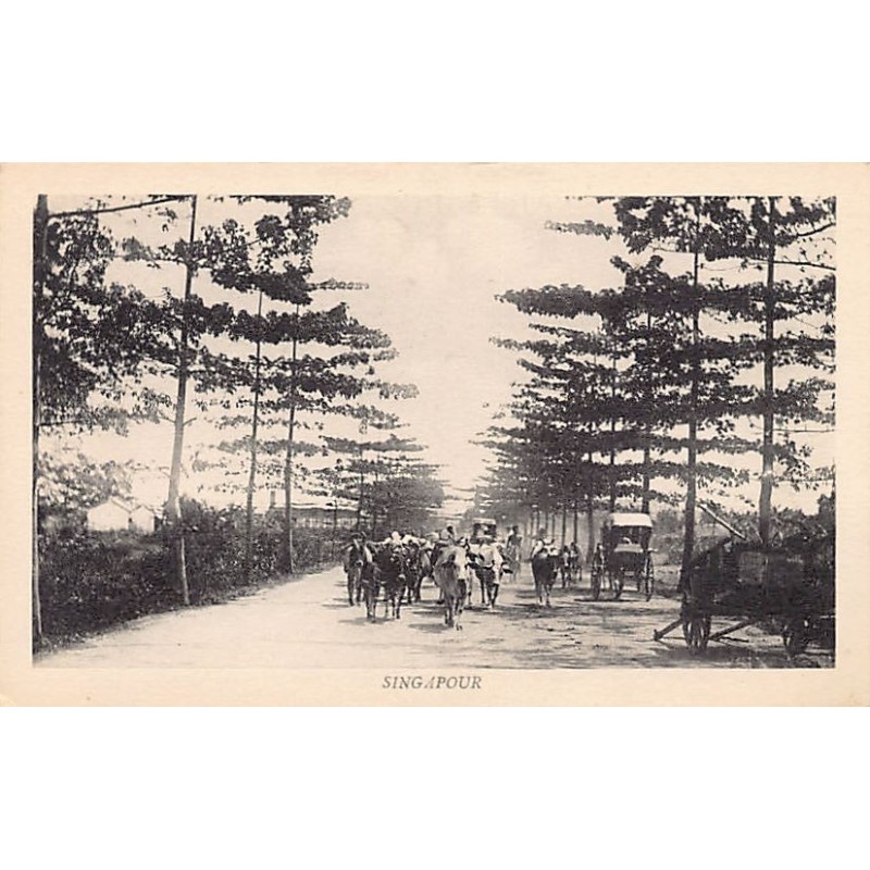 Rare collectable postcards of SINGAPORE Belgique België. Vintage Postcards of SINGAPORE Belgique België