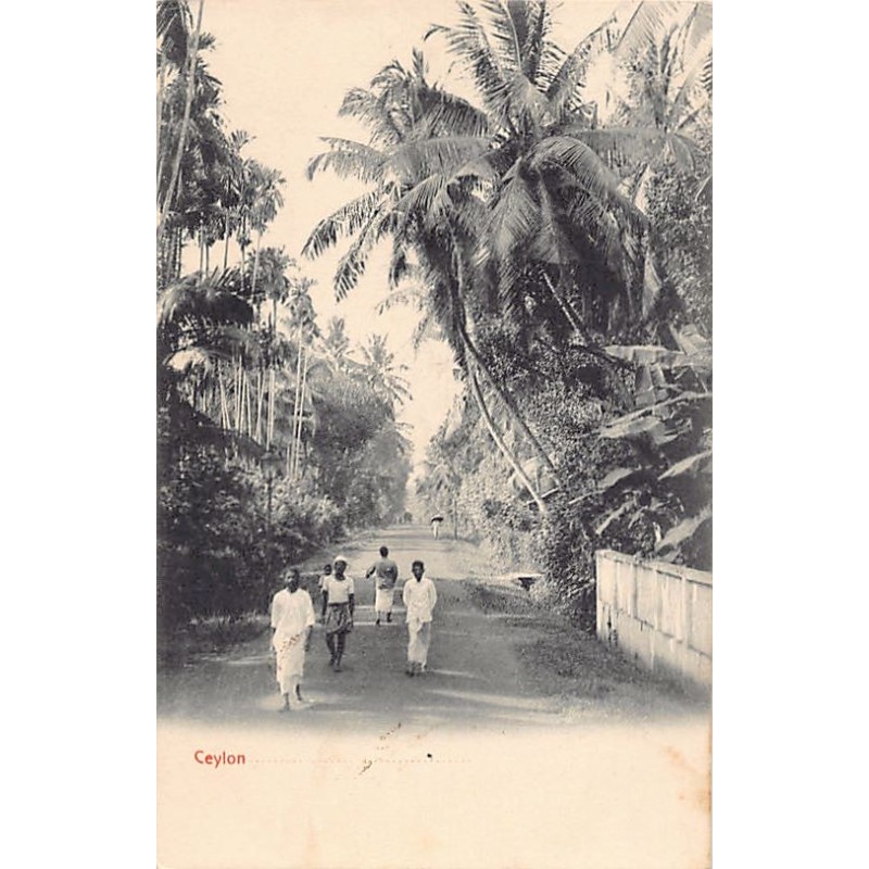 Rare collectable postcards of SRI LANKA Belgique België. Vintage Postcards of SRI LANKA Belgique België