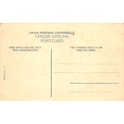 Rare collectable postcards of SRI LANKA Belgique België. Vintage Postcards of SRI LANKA Belgique België