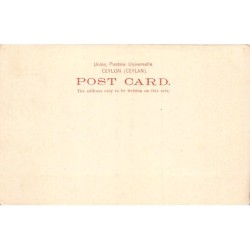 Rare collectable postcards of SRI LANKA Belgique België. Vintage Postcards of SRI LANKA Belgique België