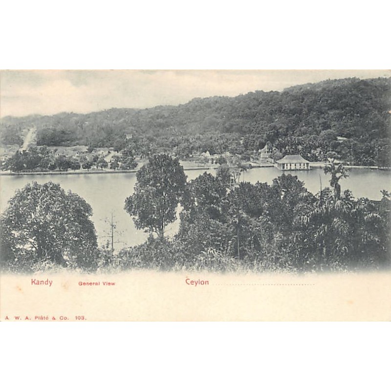 Rare collectable postcards of SRI LANKA Belgique België. Vintage Postcards of SRI LANKA Belgique België