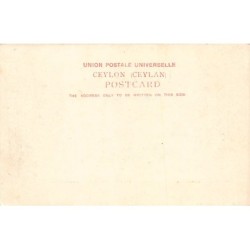Rare collectable postcards of SRI LANKA Belgique België. Vintage Postcards of SRI LANKA Belgique België