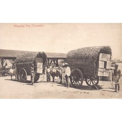 Rare collectable postcards of SRI LANKA Belgique België. Vintage Postcards of SRI LANKA Belgique België