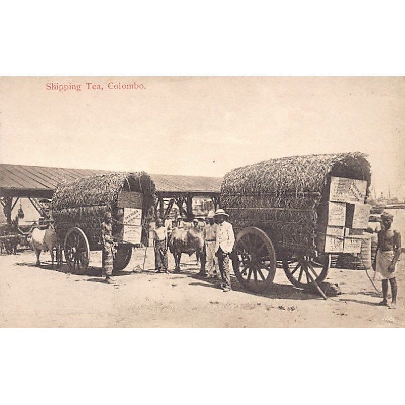 Rare collectable postcards of SRI LANKA Belgique België. Vintage Postcards of SRI LANKA Belgique België