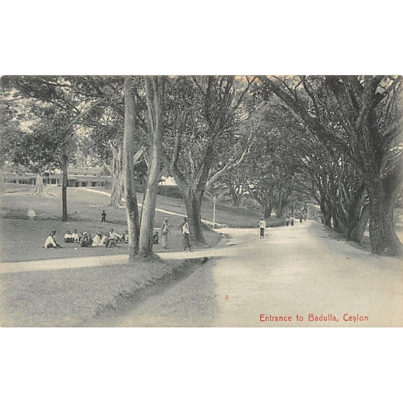 Rare collectable postcards of SRI LANKA Belgique België. Vintage Postcards of SRI LANKA Belgique België