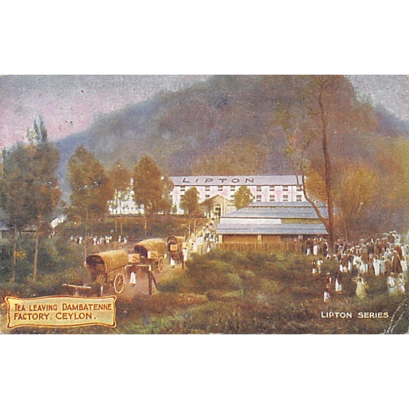 Rare collectable postcards of SRI LANKA Belgique België. Vintage Postcards of SRI LANKA Belgique België