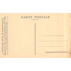 Rare collectable postcards of SRI LANKA Belgique België. Vintage Postcards of SRI LANKA Belgique België