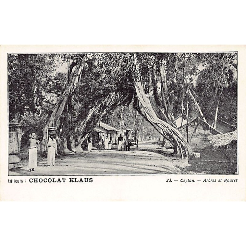 Rare collectable postcards of SRI LANKA Belgique België. Vintage Postcards of SRI LANKA Belgique België