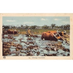 Rare collectable postcards of VIET-NAM Vietnam Belgique België. Vintage Postcards of VIET-NAM Vietnam Belgique België