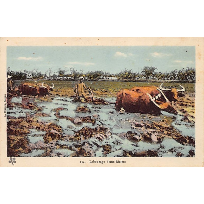 Rare collectable postcards of VIET-NAM Vietnam Belgique België. Vintage Postcards of VIET-NAM Vietnam Belgique België