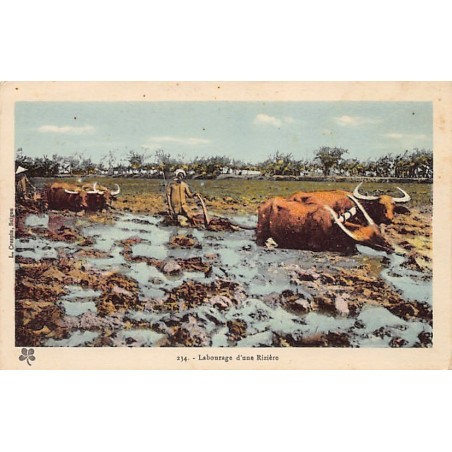 Rare collectable postcards of VIET-NAM Vietnam Belgique België. Vintage Postcards of VIET-NAM Vietnam Belgique België