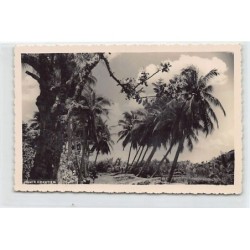 Rare collectable postcards of VIET-NAM Vietnam Belgique België. Vintage Postcards of VIET-NAM Vietnam Belgique België