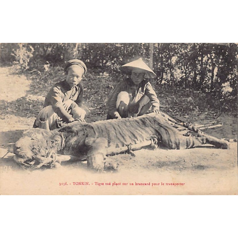 Rare collectable postcards of VIET-NAM Vietnam Belgique België. Vintage Postcards of VIET-NAM Vietnam Belgique België