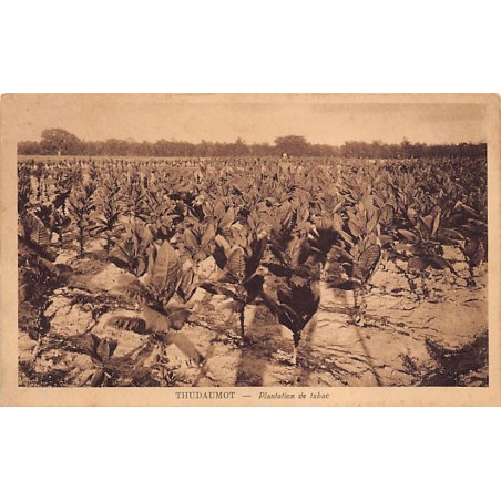 Rare collectable postcards of VIET-NAM Vietnam Belgique België. Vintage Postcards of VIET-NAM Vietnam Belgique België