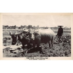 Rare collectable postcards of VIET-NAM Vietnam Belgique België. Vintage Postcards of VIET-NAM Vietnam Belgique België