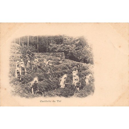 Rare collectable postcards of JAPAN Belgique België. Vintage Postcards of JAPAN Belgique België