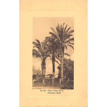 Rare collectable postcards of SYRIA Belgique België. Vintage Postcards of SYRIA Belgique België
