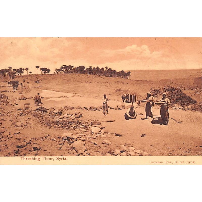 Rare collectable postcards of SYRIA Belgique België. Vintage Postcards of SYRIA Belgique België