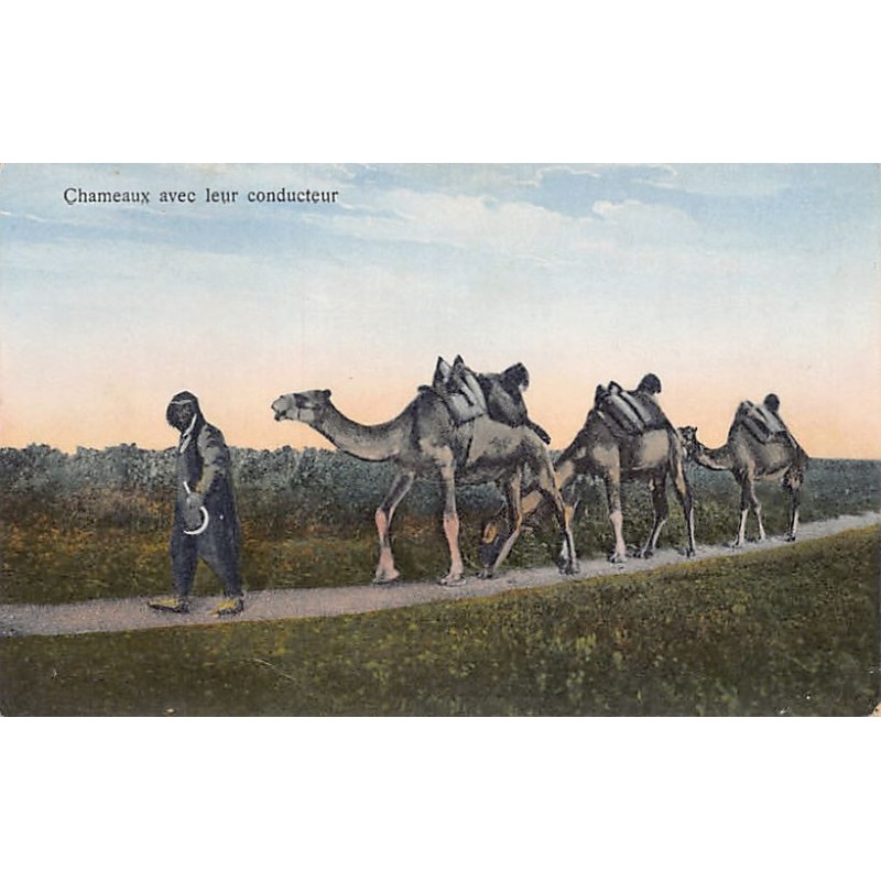 Rare collectable postcards of SYRIA Belgique België. Vintage Postcards of SYRIA Belgique België