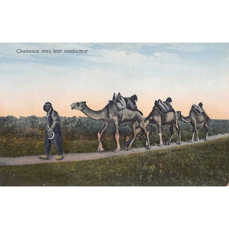 Rare collectable postcards of SYRIA Belgique België. Vintage Postcards of SYRIA Belgique België