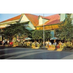 Rare collectable postcards of POLYNÉSIE French Polynesia Belgique België. Vintage Postcards of POLYNÉSIE French Polynesia Belgiq