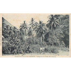 Rare collectable postcards of POLYNÉSIE French Polynesia Belgique België. Vintage Postcards of POLYNÉSIE French Polynesia Belgiq