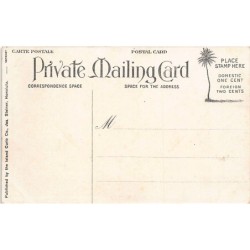 Rare collectable postcards of HAWAII Belgique België. Vintage Postcards of HAWAII Belgique België