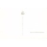 Rare collectable postcards of ITALY Italia. Vintage Postcards of ITALY Italia