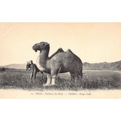 Rare collectable postcards of CHINA. Vintage Postcards of CHINA