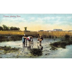 Rare collectable postcards of CHINA. Vintage Postcards of CHINA