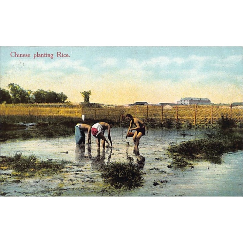 Rare collectable postcards of CHINA. Vintage Postcards of CHINA