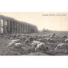 Rare collectable postcards of ITALY Italia. Vintage Postcards of ITALY Italia