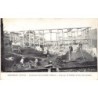 Rare collectable postcards of ITALY Italia. Vintage Postcards of ITALY Italia