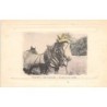 Rare collectable postcards of ITALY Italia. Vintage Postcards of ITALY Italia