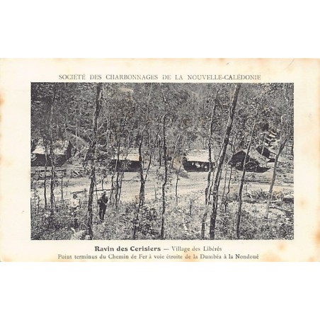 Rare collectable postcards of NOUVELLE-CALÉDONIE New Caledonia. Vintage Postcards of NOUVELLE-CALÉDONIE New Caledonia