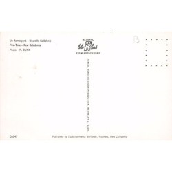 Rare collectable postcards of NOUVELLE-CALÉDONIE New Caledonia. Vintage Postcards of NOUVELLE-CALÉDONIE New Caledonia