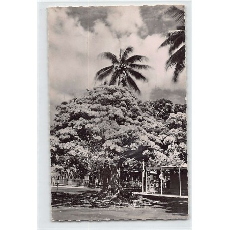 Rare collectable postcards of NOUVELLE-CALÉDONIE New Caledonia. Vintage Postcards of NOUVELLE-CALÉDONIE New Caledonia
