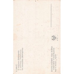 Rare collectable postcards of CROATIA. Vintage Postcards of CROATIA