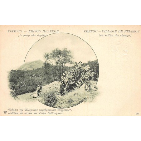 Rare collectable postcards of GREECE. Vintage Postcards of GREECE