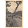 Rare collectable postcards of LUXEMBOURG. Vintage Postcards of LUXEMBOURG