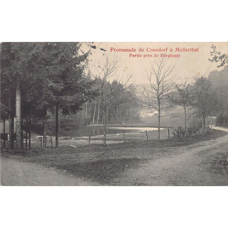 Rare collectable postcards of LUXEMBOURG. Vintage Postcards of LUXEMBOURG