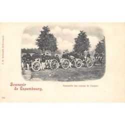 Rare collectable postcards of LUXEMBOURG. Vintage Postcards of LUXEMBOURG
