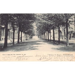 Rare collectable postcards of NEDERLAND. Vintage Postcards of NEDERLAND