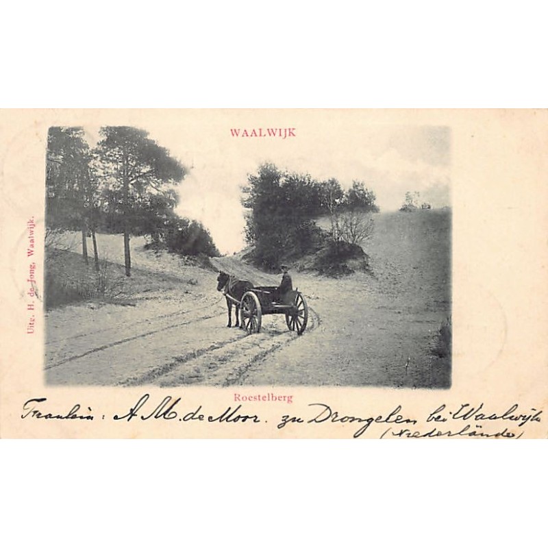 Rare collectable postcards of NEDERLAND. Vintage Postcards of NEDERLAND