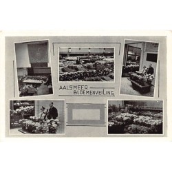 Rare collectable postcards of NEDERLAND. Vintage Postcards of NEDERLAND